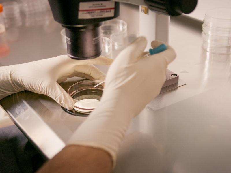 Untitled Design (65)